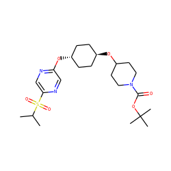 CC(C)S(=O)(=O)c1cnc(O[C@H]2CC[C@H](OC3CCN(C(=O)OC(C)(C)C)CC3)CC2)cn1 ZINC000473103991