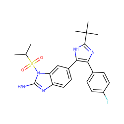 CC(C)S(=O)(=O)n1c(N)nc2ccc(-c3[nH]c(C(C)(C)C)nc3-c3ccc(F)cc3)cc21 ZINC000013641297