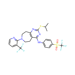 CC(C)Sc1nc2c(c(Nc3ccc(S(=O)(=O)C(F)(F)F)cc3)n1)CCN(c1ncccc1C(F)(F)F)CC2 ZINC000148184804