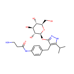 CC(C)c1[nH]nc(O[C@@H]2O[C@H](CO)[C@@H](O)[C@H](O)[C@H]2O)c1Cc1ccc(NC(=O)CCN)cc1 ZINC000095582185