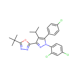 CC(C)c1c(-c2nnc(C(C)(C)C)o2)nn(-c2ccc(Cl)cc2Cl)c1-c1ccc(Cl)cc1 ZINC000040423103