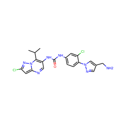 CC(C)c1c(NC(=O)Nc2ccc(-n3cc(CN)cn3)c(Cl)c2)cnc2cc(Cl)nn12 ZINC000653878780