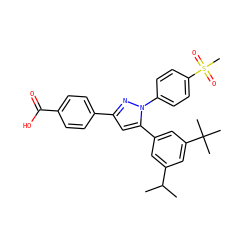 CC(C)c1cc(-c2cc(-c3ccc(C(=O)O)cc3)nn2-c2ccc(S(C)(=O)=O)cc2)cc(C(C)(C)C)c1 ZINC000653857942