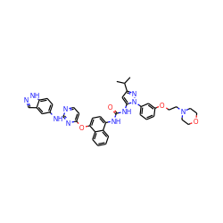 CC(C)c1cc(NC(=O)Nc2ccc(Oc3ccnc(Nc4ccc5[nH]ncc5c4)n3)c3ccccc23)n(-c2cccc(OCCN3CCOCC3)c2)n1 ZINC000211052857