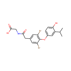 CC(C)c1cc(Oc2c(Br)cc(CC(=O)NCC(=O)O)cc2Br)ccc1O ZINC000014969082