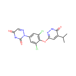 CC(C)c1cc(Oc2c(Cl)cc(-n3ncc(=O)[nH]c3=O)cc2Cl)n[nH]c1=O ZINC000034842514