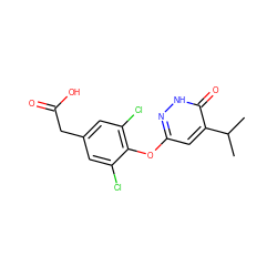 CC(C)c1cc(Oc2c(Cl)cc(CC(=O)O)cc2Cl)n[nH]c1=O ZINC000034842471