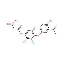 CC(C)c1cc(Oc2c(Cl)cc(NC(=O)CC(=O)O)c(Cl)c2Cl)ccc1O ZINC000084728942