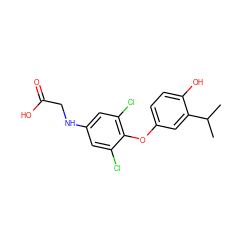 CC(C)c1cc(Oc2c(Cl)cc(NCC(=O)O)cc2Cl)ccc1O ZINC000013602461