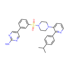 CC(C)c1ccc(-c2ncccc2N2CCN(S(=O)(=O)c3cccc(-c4cnc(N)nc4)c3)CC2)cc1 ZINC000095572937