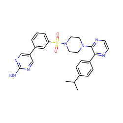 CC(C)c1ccc(-c2nccnc2N2CCN(S(=O)(=O)c3cccc(-c4cnc(N)nc4)c3)CC2)cc1 ZINC000095578283