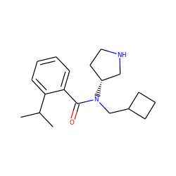 CC(C)c1ccccc1C(=O)N(CC1CCC1)[C@@H]1CCNC1 ZINC000043011196