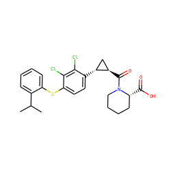 CC(C)c1ccccc1Sc1ccc([C@@H]2C[C@H]2C(=O)N2CCCC[C@H]2C(=O)O)c(Cl)c1Cl ZINC000003965938