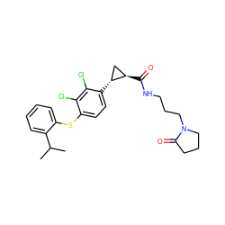 CC(C)c1ccccc1Sc1ccc([C@@H]2C[C@H]2C(=O)NCCCN2CCCC2=O)c(Cl)c1Cl ZINC000003965935