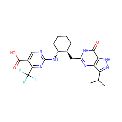 CC(C)c1n[nH]c2c(=O)[nH]c(C[C@@H]3CCCC[C@H]3Nc3ncc(C(=O)O)c(C(F)(F)F)n3)nc12 ZINC000040879714