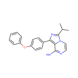 CC(C)c1nc(-c2ccc(Oc3ccccc3)cc2)c2c(N)nccn12 ZINC000096168051