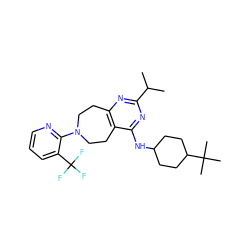 CC(C)c1nc2c(c(NC3CCC(C(C)(C)C)CC3)n1)CCN(c1ncccc1C(F)(F)F)CC2 ZINC000147343706