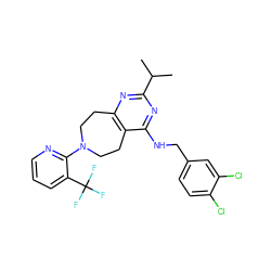 CC(C)c1nc2c(c(NCc3ccc(Cl)c(Cl)c3)n1)CCN(c1ncccc1C(F)(F)F)CC2 ZINC000144244154