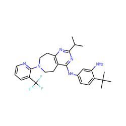 CC(C)c1nc2c(c(Nc3ccc(C(C)(C)C)c(N)c3)n1)CCN(c1ncccc1C(F)(F)F)CC2 ZINC000144996447