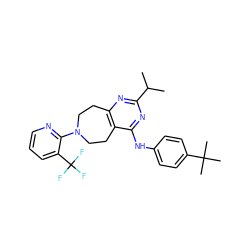 CC(C)c1nc2c(c(Nc3ccc(C(C)(C)C)cc3)n1)CCN(c1ncccc1C(F)(F)F)CC2 ZINC000144243694