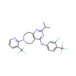 CC(C)c1nc2c(c(Nc3ccc(C(F)(F)F)c(Cl)c3)n1)CCN(c1ncccc1C(F)(F)F)CC2 ZINC000144447038