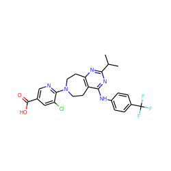 CC(C)c1nc2c(c(Nc3ccc(C(F)(F)F)cc3)n1)CCN(c1ncc(C(=O)O)cc1Cl)CC2 ZINC000064549802