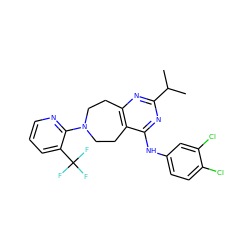 CC(C)c1nc2c(c(Nc3ccc(Cl)c(Cl)c3)n1)CCN(c1ncccc1C(F)(F)F)CC2 ZINC000148245843