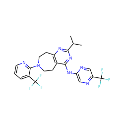 CC(C)c1nc2c(c(Nc3cnc(C(F)(F)F)cn3)n1)CCN(c1ncccc1C(F)(F)F)CC2 ZINC000064549608