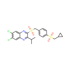 CC(C)c1nc2cc(Cl)c(Cl)cc2nc1S(=O)(=O)Cc1ccc(S(=O)(=O)CC2CC2)cc1 ZINC000028950905