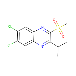 CC(C)c1nc2cc(Cl)c(Cl)cc2nc1S(C)(=O)=O ZINC000028950896