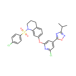 CC(C)c1noc(-c2cc(Cl)nc(Oc3ccc4c(c3)N(S(=O)(=O)c3ccc(Cl)cc3)CCC4)c2)n1 ZINC000103263460