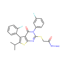 CC(C)c1sc2nc(SCC(=O)NN)n(-c3cccc(F)c3)c(=O)c2c1-c1ccccc1F ZINC000028340473