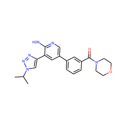 CC(C)n1cc(-c2cc(-c3cccc(C(=O)N4CCOCC4)c3)cnc2N)nn1 ZINC000143843662