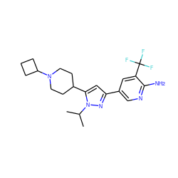 CC(C)n1nc(-c2cnc(N)c(C(F)(F)F)c2)cc1C1CCN(C2CCC2)CC1 ZINC000146412155