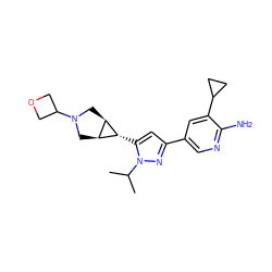 CC(C)n1nc(-c2cnc(N)c(C3CC3)c2)cc1[C@@H]1[C@H]2CN(C3COC3)C[C@H]21 ZINC000148075991