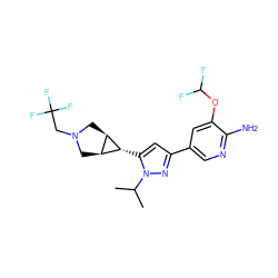 CC(C)n1nc(-c2cnc(N)c(OC(F)F)c2)cc1[C@@H]1[C@H]2CN(CC(F)(F)F)C[C@H]21 ZINC000148067539