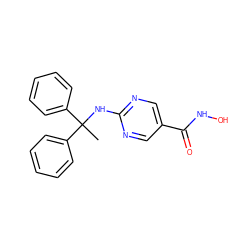 CC(Nc1ncc(C(=O)NO)cn1)(c1ccccc1)c1ccccc1 ZINC000166661645