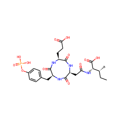 CC[C@@H](C)[C@H](NC(=O)C[C@@H]1NC(=O)[C@H](CCC(=O)O)NC(=O)[C@H](Cc2ccc(OP(=O)(O)O)cc2)NC1=O)C(=O)O ZINC000026842453