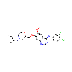 CC[C@@H](C)CN1CCO[C@@H](COc2cc3ncnc(Nc4ccc(Cl)c(Cl)c4)c3cc2OC)C1 ZINC000115598653