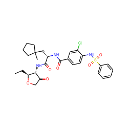 CC[C@@H]1OCC(=O)[C@H]1NC(=O)[C@H](CC1(C)CCCC1)NC(=O)c1ccc(NS(=O)(=O)c2ccccc2)c(Cl)c1 ZINC000044430575