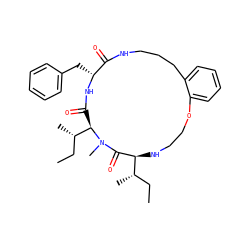 CC[C@H](C)[C@@H]1NCCOc2ccccc2CCCNC(=O)[C@@H](Cc2ccccc2)NC(=O)[C@H]([C@@H](C)CC)N(C)C1=O ZINC000201374891