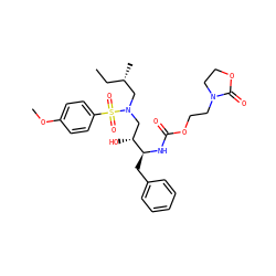 CC[C@H](C)CN(C[C@@H](O)[C@H](Cc1ccccc1)NC(=O)OCCN1CCOC1=O)S(=O)(=O)c1ccc(OC)cc1 ZINC000095554358