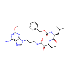CC[C@H](NC(=O)[C@H](CC(C)C)NC(=O)OCc1ccccc1)C(=O)C(=O)NCCCn1cnc2c(N)nc(OC)nc21 ZINC000059048638