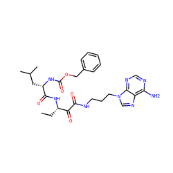 CC[C@H](NC(=O)[C@H](CC(C)C)NC(=O)OCc1ccccc1)C(=O)C(=O)NCCCn1cnc2c(N)ncnc21 ZINC000042887546