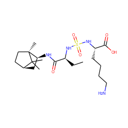 CC[C@H](NS(=O)(=O)N[C@@H](CCCCN)C(=O)O)C(=O)N[C@H]1C[C@H]2CC[C@]1(C)C2(C)C ZINC000201001693