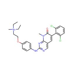 CC[N+](C)(CC)CCOc1ccc(Nc2ncc3cc(-c4c(Cl)cccc4Cl)c(=O)n(C)c3n2)cc1 ZINC000003815492