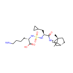 CC1(C)[C@@H]2CC[C@@]1(C)[C@@H](NC(=O)[C@H](CC1CC1)NS(=O)(=O)N[C@@H](CCCCN)C(=O)O)C2 ZINC000200999270