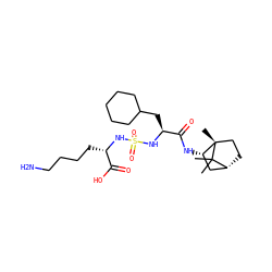 CC1(C)[C@@H]2CC[C@@]1(C)[C@@H](NC(=O)[C@H](CC1CCCCC1)NS(=O)(=O)N[C@@H](CCCCN)C(=O)O)C2 ZINC000200999823