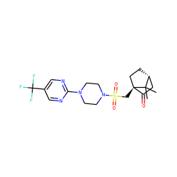 CC1(C)[C@@H]2CC[C@@]1(CS(=O)(=O)N1CCN(c3ncc(C(F)(F)F)cn3)CC1)C(=O)C2 ZINC000040935636