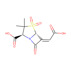 CC1(C)[C@H](C(=O)O)N2C(=O)/C(=C/C(=O)O)[C@H]2S1(=O)=O ZINC000026159467